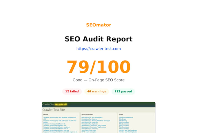 do a professional website SEO audit report and analysis