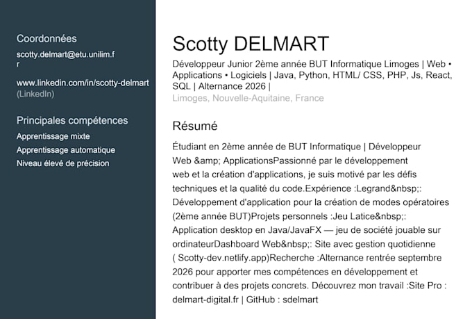 do custom web development and desktop software programming