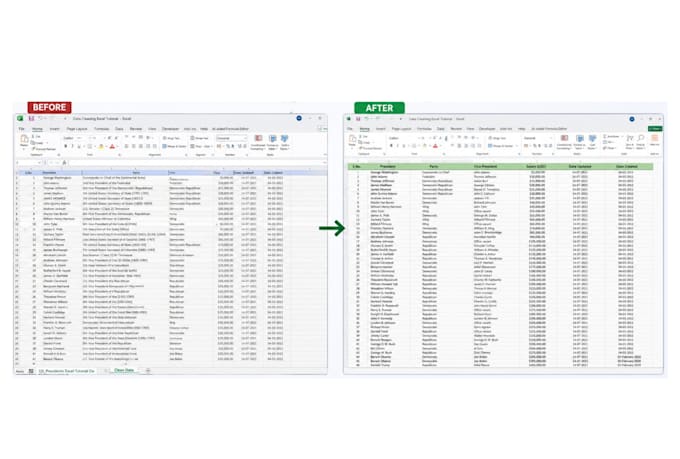 clean, format and organize excel data,