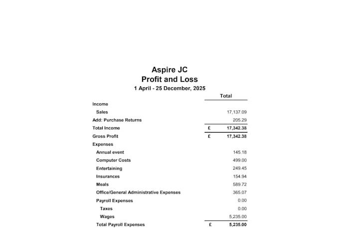 prepare financial statements and perform bookkeeping