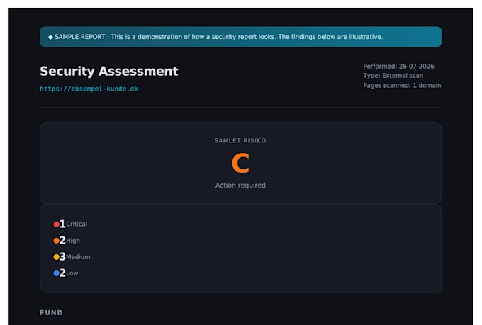 perform a website security audit and vulnerability assessment