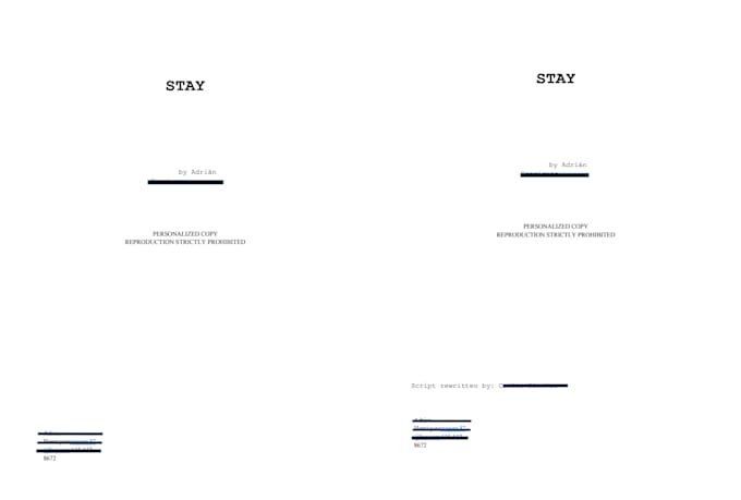 rewrite and professionally edit your screenplay