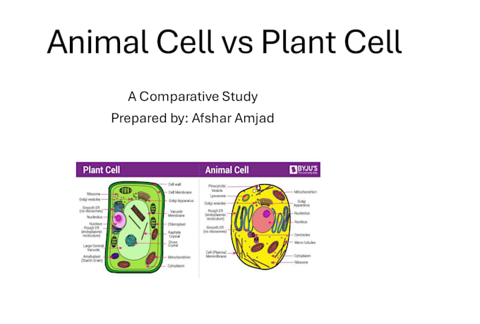 create biology notes, mcqs and powerpoint presentations
