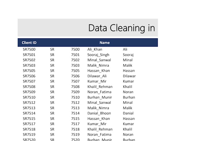 do excel bookkeeping, bank reconciliation, and data cleaning