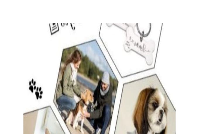 do pet supplies for animals