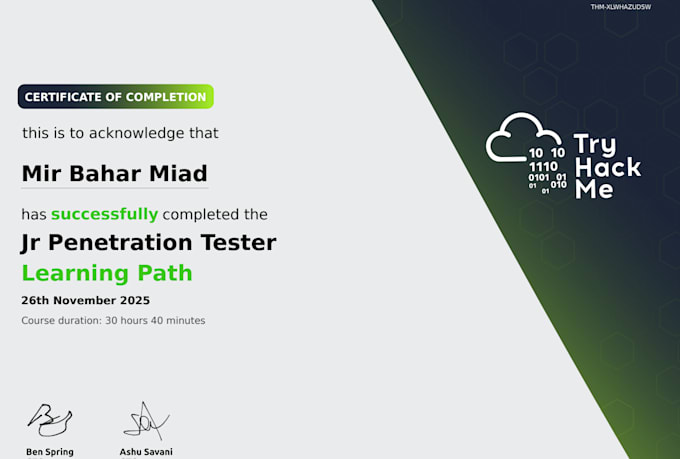 perform owasp based web application penetration testing
