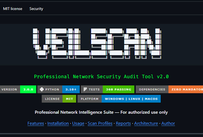 perform web application penetration testing