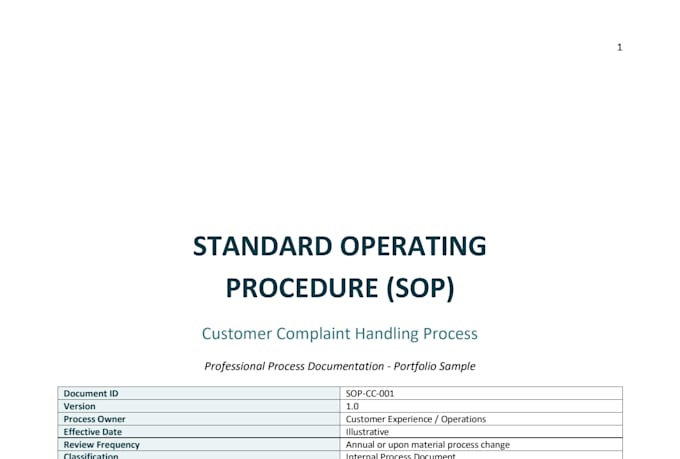 create professional sops and process documentation