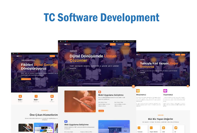 develop a professional responsive website for your business