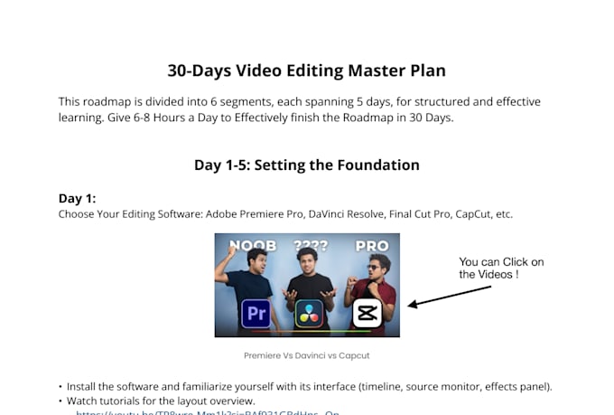 do professional video editing in davinci resolve