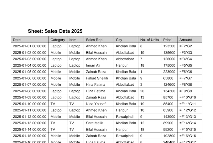 provide professional excel services