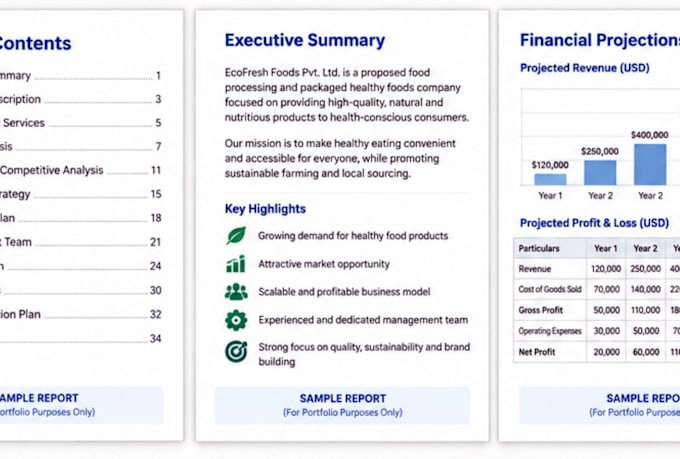create a professional business plan and project report