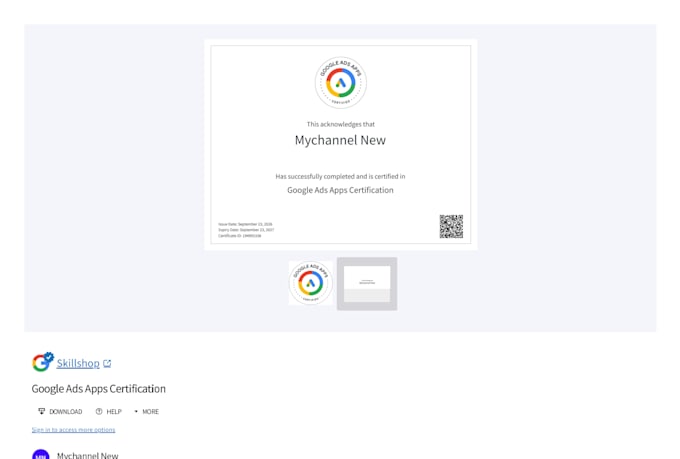 set up and manage google ads campaigns