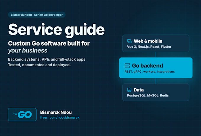 build custom golang software, backend systems and full stack apps