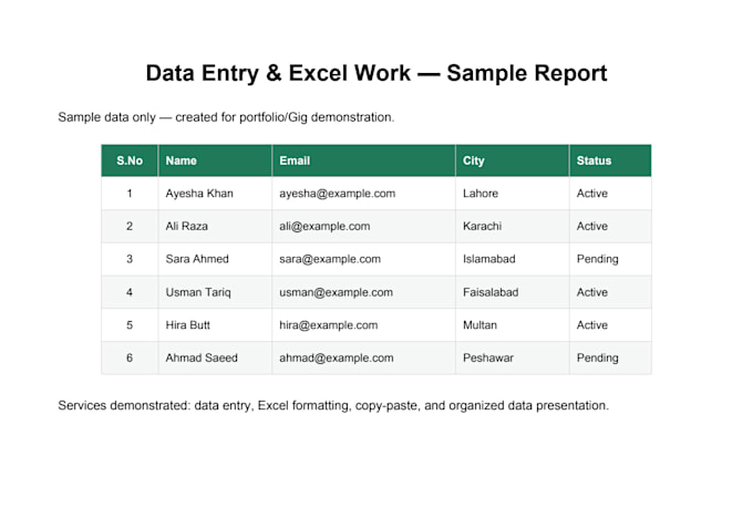 do professional data entry and excel work
