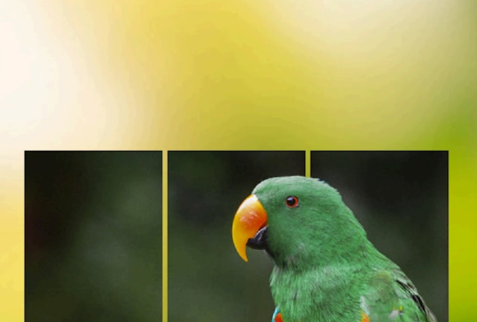 design custom editable canva templates, instagram posts and social media posts