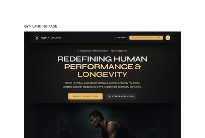 design premium wordpress landing page