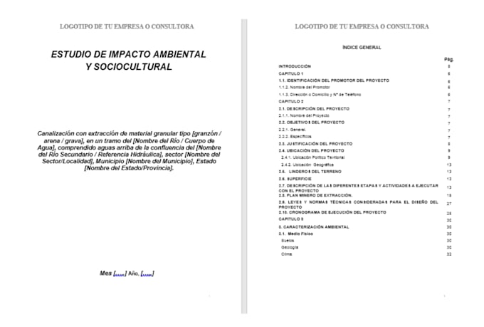 provide a professional eia report template in spanish I will