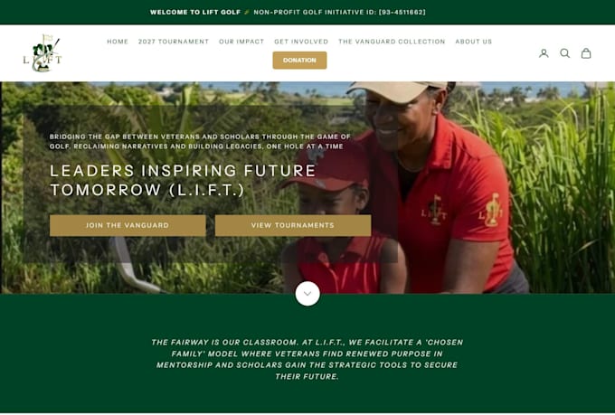design and develop a professional shopify store