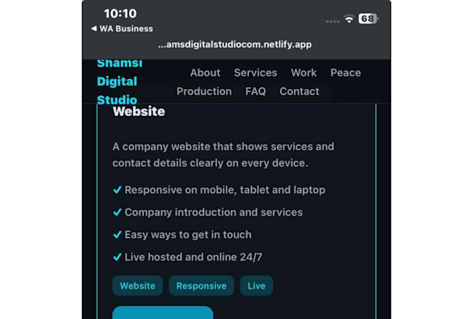 develop a modern business website, ecommerce store, web app or pos system
