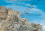 book design starts from 10