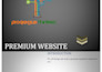 create a premium business wordpress website development