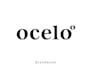 design an amazing minimalist logotype for your business