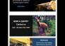 build bespoke mailchimp email template design