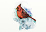 draw watercolor illustration style