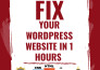 fix your wordpress issues, and errors quickly in 1 hour