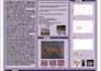 design perfect flyer and brochure professionally