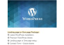 build professional wordpress website design and development