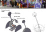 design trade show booth, exhibition stand and brand activation