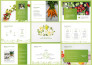 design a pitch deck, business plan, powerpoint presentation, and google slides