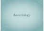 design professional  powerpoint presentation and pitch deck