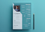 perform a professional resume and CV design or edit