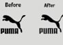 do vector trace your image in 24 hours