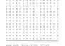 create custom word search puzzles with solutions