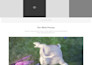 convert PSD to HTML responsive design
