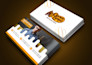 do awesome luxury business card