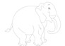 5 dollar tracing  vector and  raster
