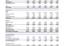 general accountant or contabilidad financiera