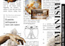 turn your idea to a any infographic design using adobe illustrator