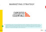 run ongoing zoho marketing hub, SEO, mailer mkt strategy
