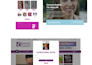 create a high quality wordpress website for your business