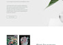 create modern wordpress website, design website, landing page