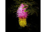 do professional photo editing and color correction