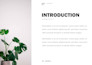 create a profession presentation