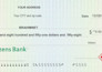 create customized checks pro