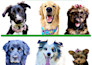 do image masking by the photoshop